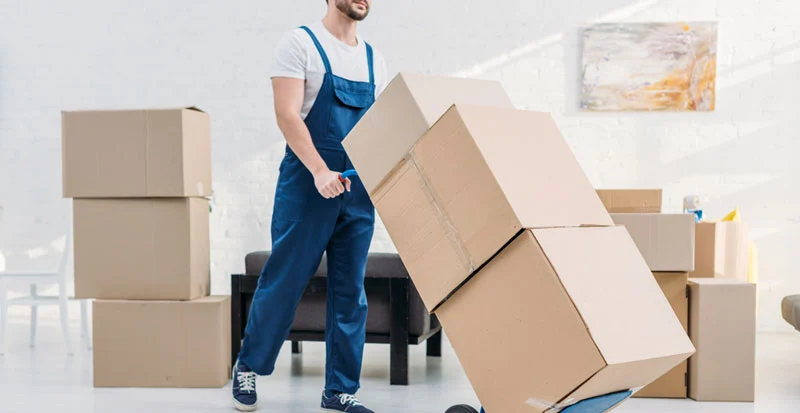 Alexandria relocation services